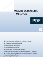 05 Seminario 5 Bioquímica de La Diabetes