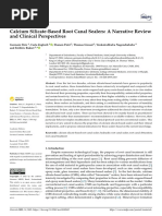 Calcium Silicate-Based Root Canal Sealers