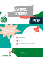 Control Interno Diaps Almarales