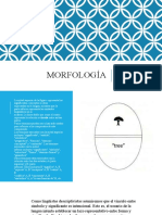 Morfología: significados y unidades lingüísticas