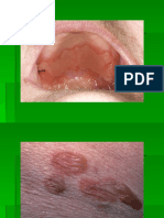 299388451 Imagini Examen Dermatologie Explicate