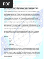 Download Estructura de la cancin by Poli Gutierrez SN56562553 doc pdf