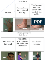Body Parts(Matching Pictures to Words)