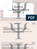 Bateria Neuropsicológica BANFE-2