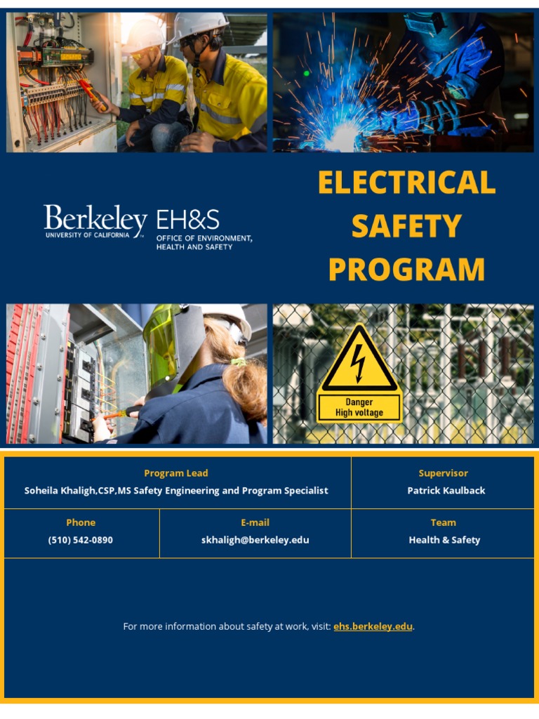 electricalsafetyprogram PDF