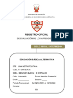 Registro Oficial Intermedio Bb
