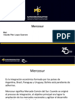 Presentacion TLC Mercosur