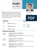 115 Curriculum Vitae Docente Profesor