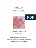 (2) Herpes Simpleks