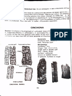 Morphological Identification Pharmacognosy