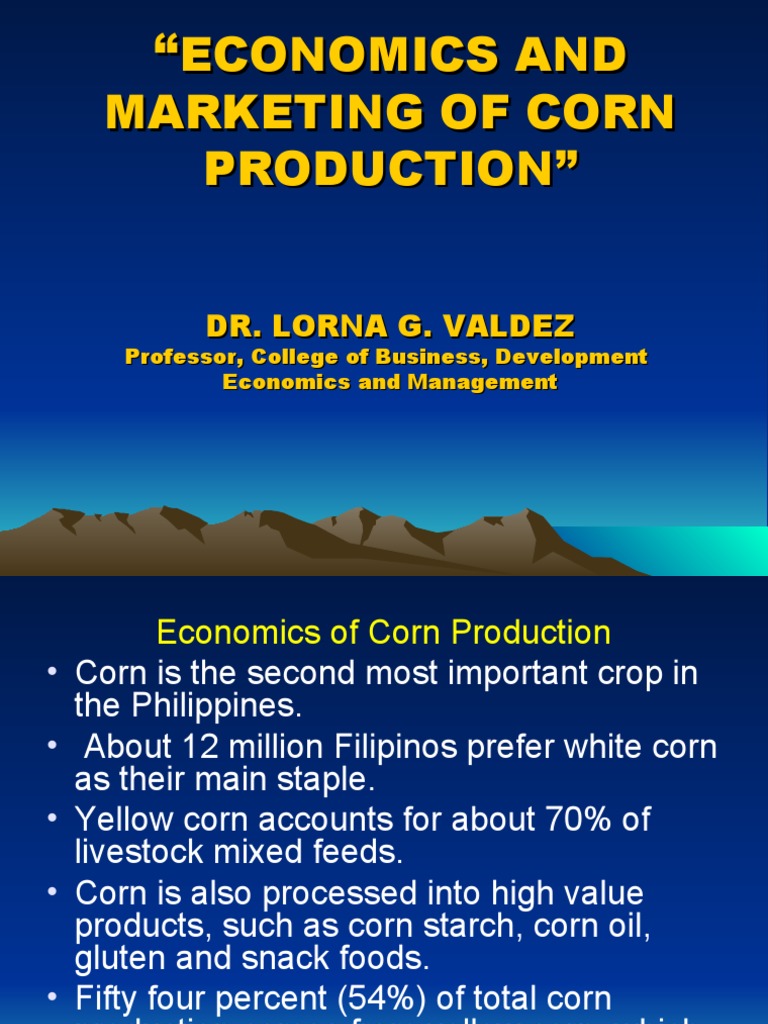 Economics of Corn Farming Final PDF Maize Interest