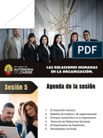 Desarrollo en Las Organizaciones