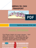 Membran Sel Dan Transport2