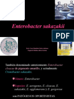 Enterobacter Sakazakii
