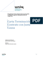 Carta Terminacion de Trabajo