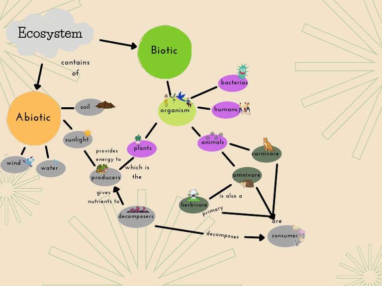 Ecosystem Concept Map for Grade 7 | PDF