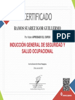 Curso Inducción General de Seguridad y Salud Ocupacional - Doc 46948487 - RAMOS SUAREZ IGOR GUILLERMO