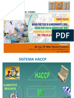 Sistema HACCP y Buenas Prácticas de Manufactura