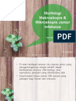 Morfologi Makroskopis Dan Mikroskopis Jamur Infeksius