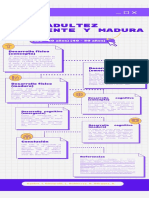 Castro, Ciccarelli, Gutierrez, Marquez - Infografía Adulto Emergente y Maduro