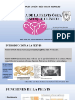 Anatomia de Pelvis Osea y Tipos - David Antonio Dzul Moo