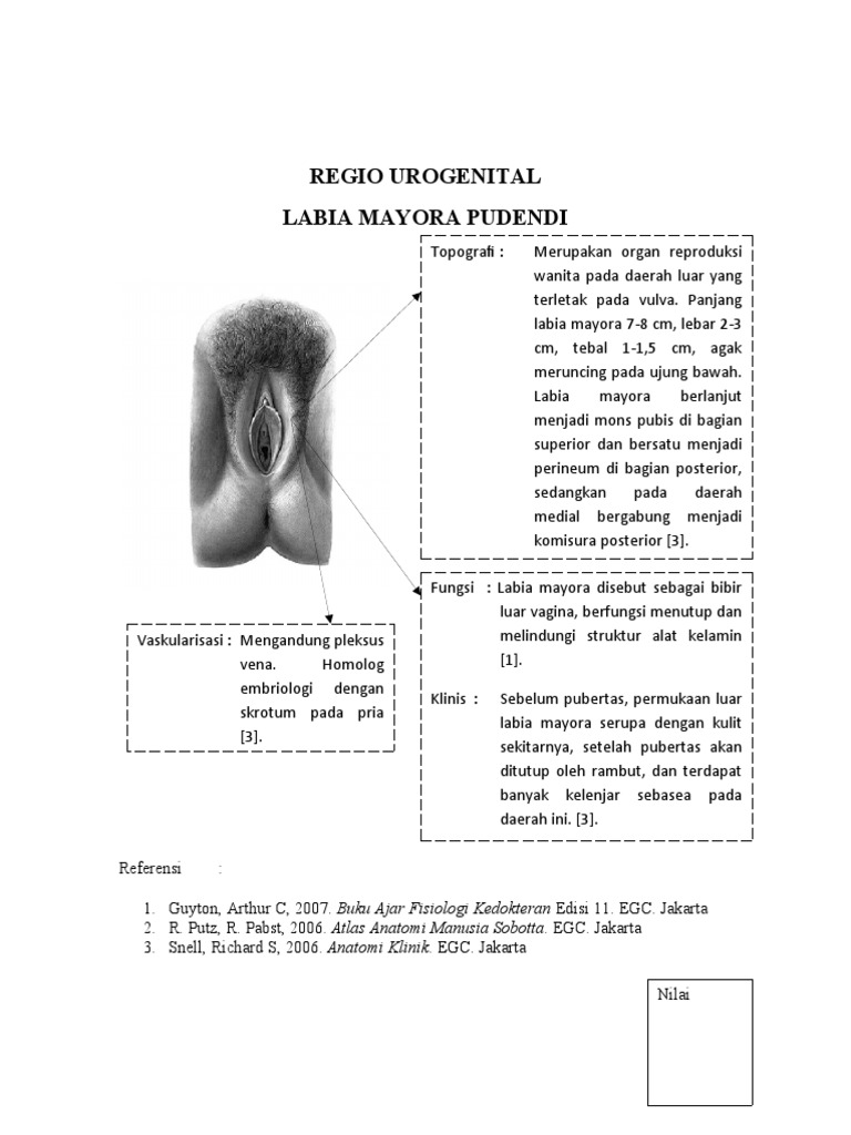 Dexter laboratoriyasi porno