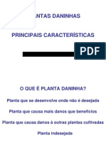 Planta Daninha - Principais Caracteristicas