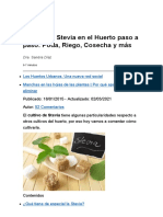Cultivo de Stevia en El Huerto Paso A Paso