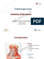 Larynx Hypopharynx Anatomy