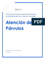 Ficha Pedagogica Atencion de Parvulos - Priorizacion Curricular