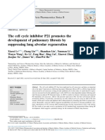 The Cell Cycle Inhibitor P21 Promotes The Development of - 2022 - Acta Pharmace
