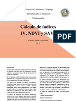 Cálculo de Indices.