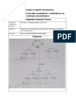 Formato para evidencia de practica 