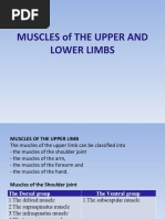 Muscles of The Upper and Lower Limbs