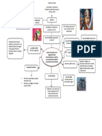 Desarrollo Histórico de La Legislación Étnica Mapa