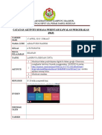 RPH PDPC PKP SEJARAH 17APRIL - 22may