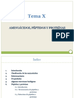 TEMA_X_Amino_Acidos