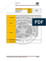 POE 10-6 Formato CBPA