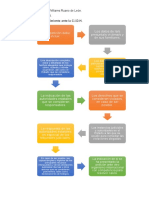 Esquema Del Procedimiento Ante La CIDH