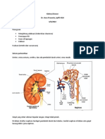 Kidney Disease, TPG HD Dan CAPD DR Heru