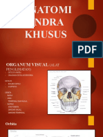 Anatomi Indra Khusus (Blok 17)
