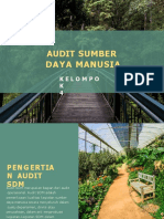 Audit Sumber Daya Manusia