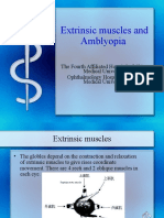 Chp17 Stabismsus Amblyopia