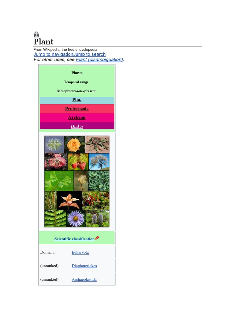 Plant PDF Plants Taxa