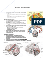 Sindrom de Neuron Central