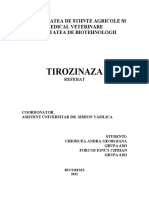 Enzimologie - Tirozinaza