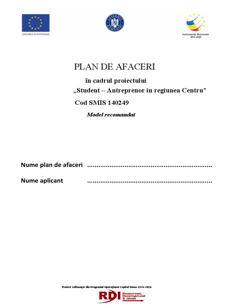 Model Plan De Afaceri Pdf