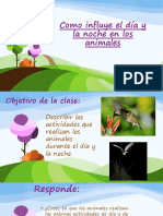 Ppt Animales de Día y Noche