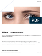 Funzionamento Dell’Occhio - Fielmann.