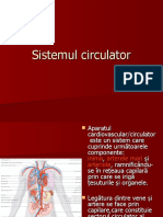 Sistemul Circulator